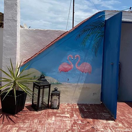 Casa De Los Dos Flamencos Miramar Exterior foto